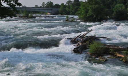 Bedeutung des Träumens von schlammigem Wasser