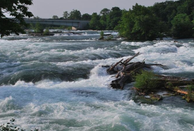 Bedeutung des Träumens von schlammigem Wasser